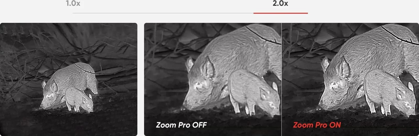 HABROK Zoom Pro Algorithm
