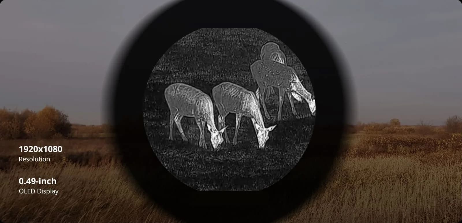 HIKMICRO-Thermal-Clip-on-Thunder-3.0-0.49