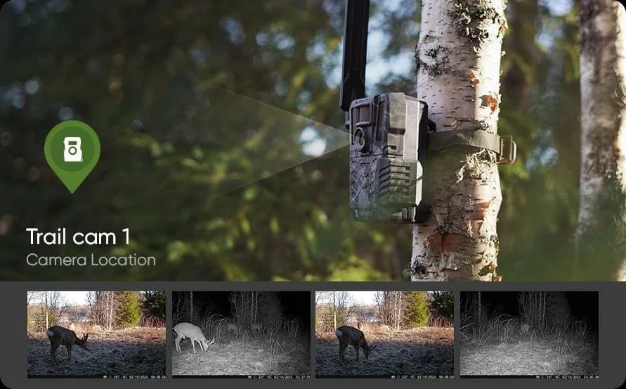 HIKMICRO_Sight-App_Hunt-Ground-with-trail-camera_PC