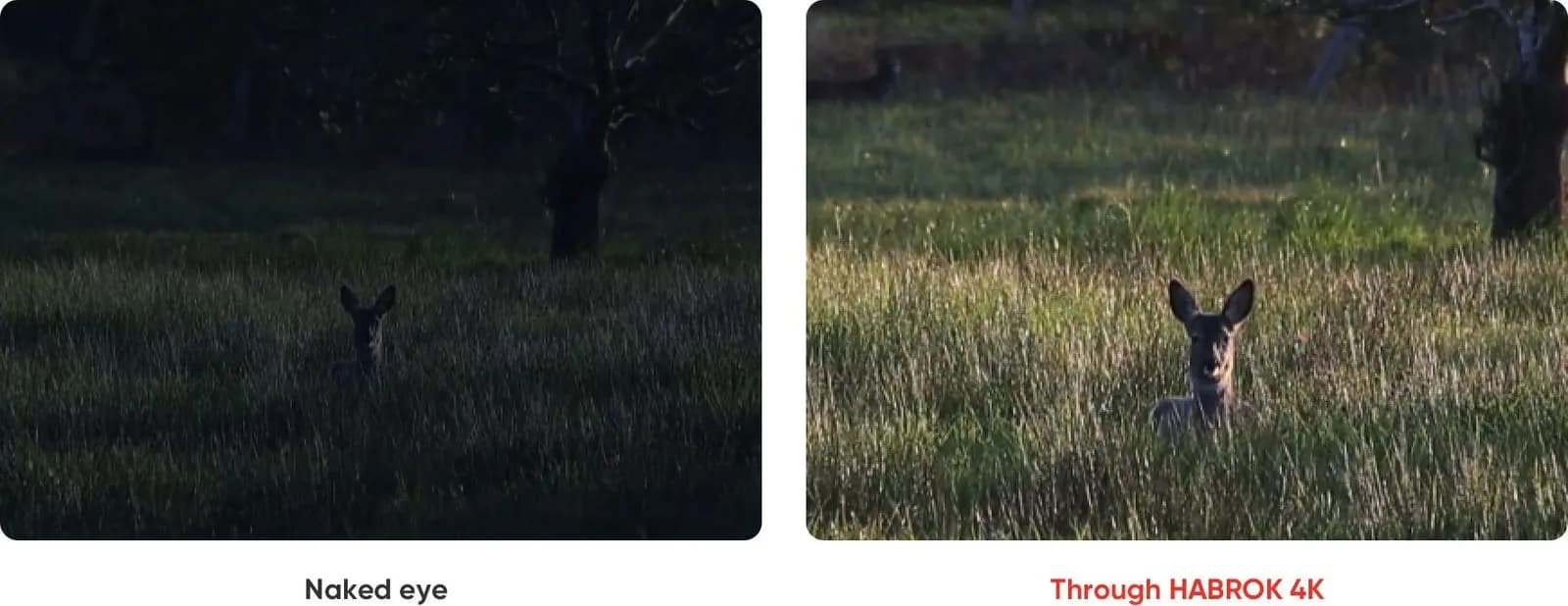 HABROK 4K Vivid Images at Twilight_2