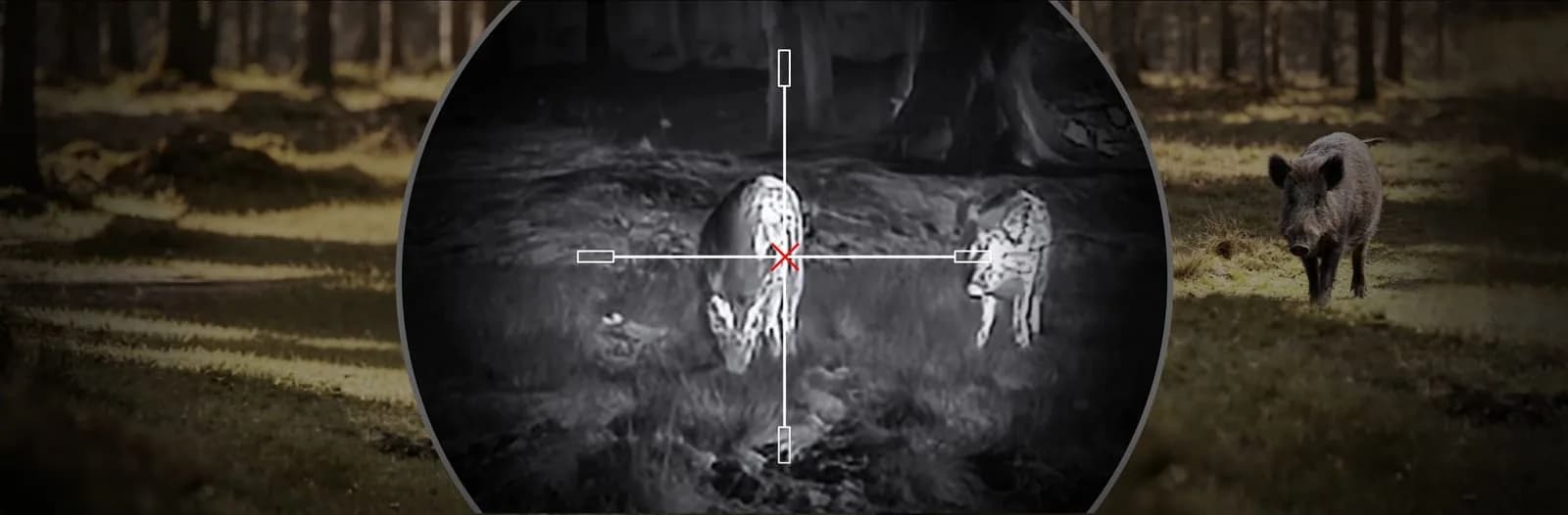 HIKMICRO_Thermal-Scope_NEOS_Sync Pro_PC_06