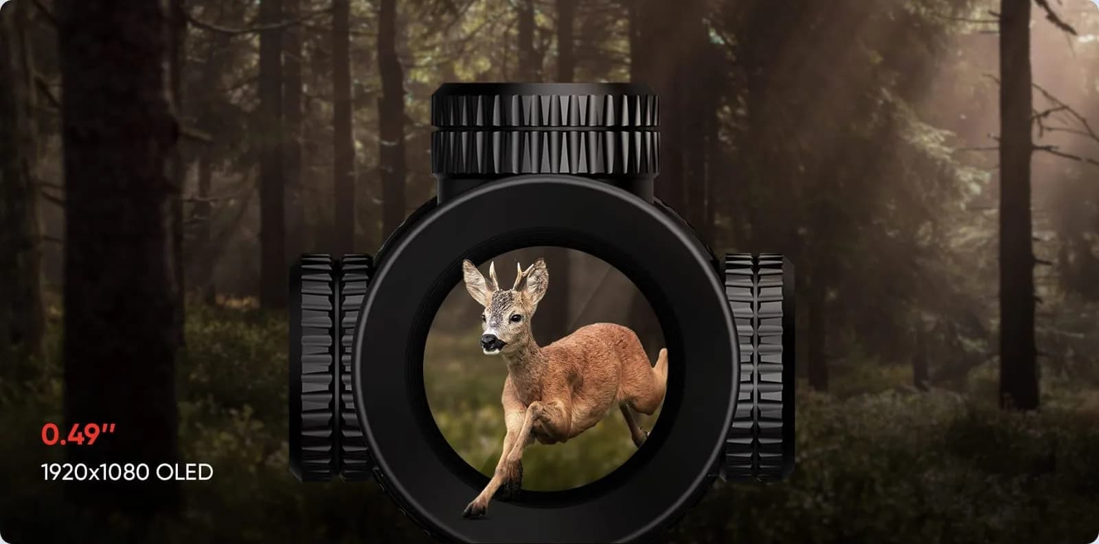 ALPEX 4K_Large OLED display_m