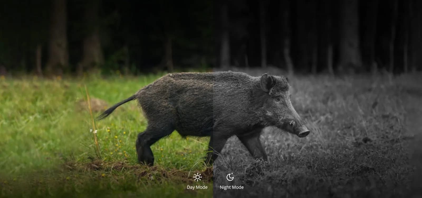 ALPEX Day&Night Mode
